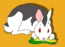It's Bunnicula! What, you don't know who Bunnicula is? What ARE they making you read in school then?