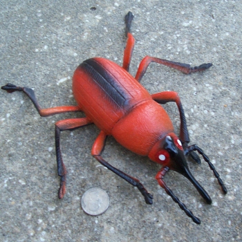 weevil toy