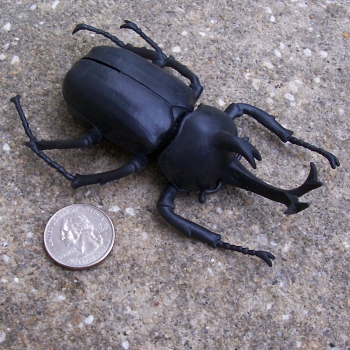 Toy beetle best sale