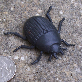 dung beetle toy