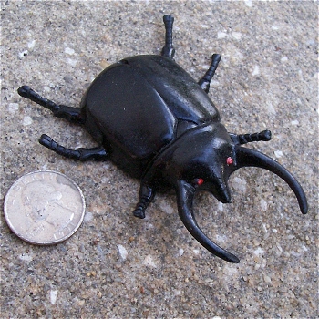 dung beetle toy