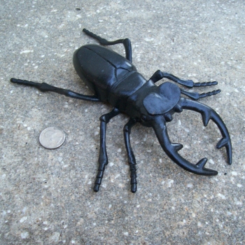 stag beetle toy