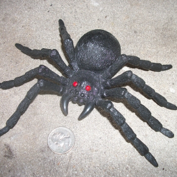 fake rubber spiders