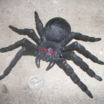 small plastic spiders bulk