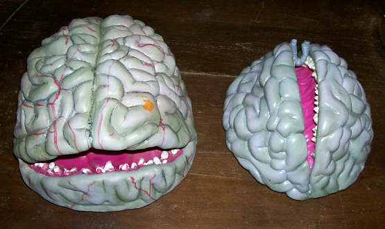 Skeleton Brains