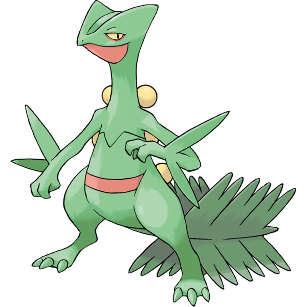 The best lizard Pokémon